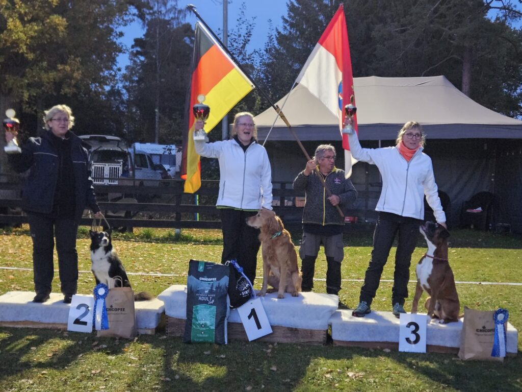 SV DM Obedience 2025